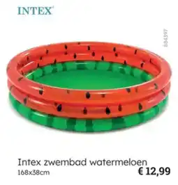 Multi bazar Intex Zwembad Watermeloen aanbieding