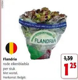 Colruyt Flandria rode eikenbladsla per stuk aanbieding