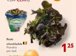 OKay Rode eikenbladsla aanbieding