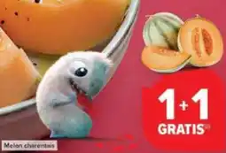 Carrefour Market Melon charentais aanbieding