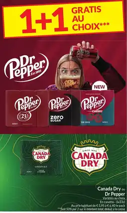 Intermarché Canada Dry ou Dr Pepper aanbieding