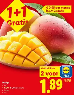 Lidl Mango aanbieding