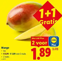 Lidl Mango aanbieding