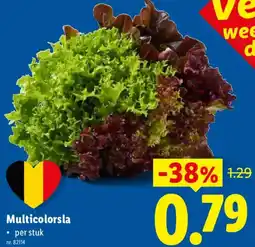 Lidl Multicolorsla aanbieding