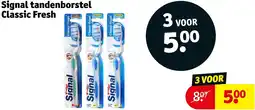 Kruidvat Signal tandenborstel Classic Fresh aanbieding