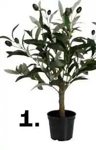 Kwantum Kunstplanten Olijf aanbieding