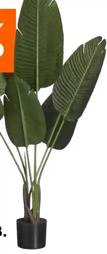 Kwantum Kunstplanten Strelitzia aanbieding