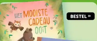 Het mooiste cadeau ooit