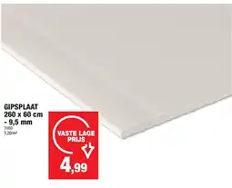 Hubo GIPSPLAAT 260 x 60 cm - 9,5 mm aanbieding