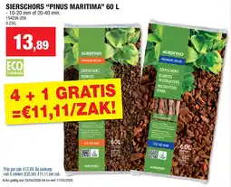 Hubo SIERSCHORS “PINUS MARITIMA” 60 L aanbieding