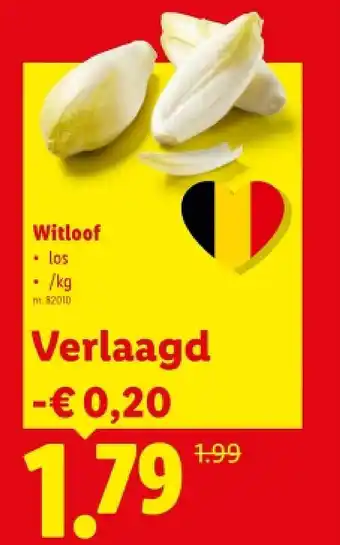 Lidl Witloof aanbieding