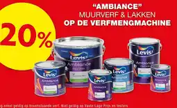 Hubo Ambiance muurverf & lakken op de verfmengmachine aanbieding