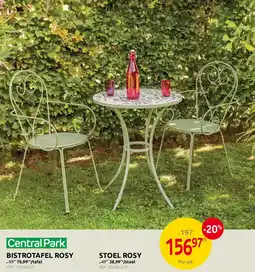 Brico Central Park Bistrotafel + Stoel Rosy aanbieding