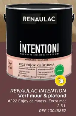 Brico Renaulac Intention Verf Muur & Plafond aanbieding