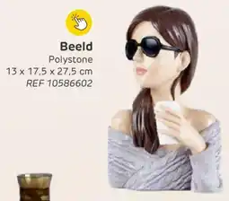 Brico Beeld Polystone aanbieding
