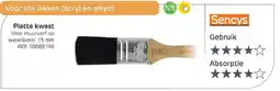 Brico Sencys Platte kwast aanbieding