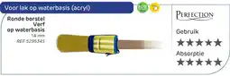 Brico Perfection Ronde borstel Verf op waterbasis aanbieding