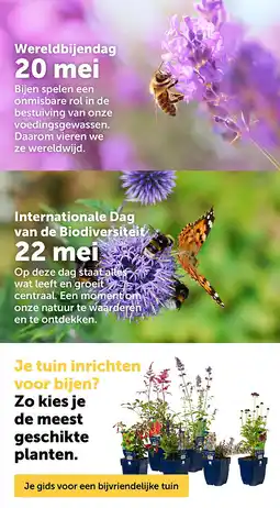 AVEVE Zo kies je de meest geschikte planten aanbieding