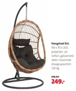 Intratuin Hangstoel Evi aanbieding