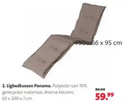 Intratuin Ligbedkussen Panama aanbieding