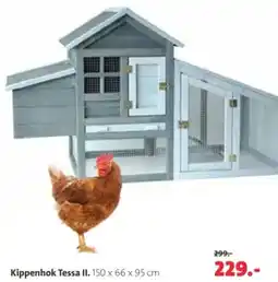 Intratuin Kippenhok Tessa II aanbieding