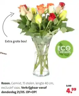 Intratuin Rozen aanbieding