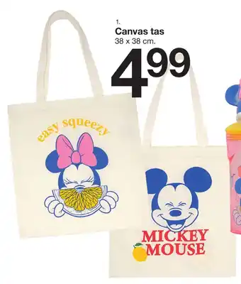 Canvas Tas