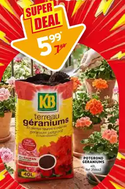 Trafic Potgrond geraniums aanbieding