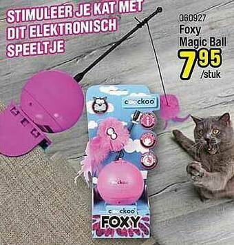 Happyland Foxy Magic Ball aanbieding