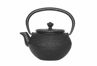 Cosy & Trendy Theepot gietijzer met filter Takara 0,35 l zwart