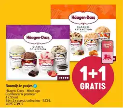 Delhaize Roomijs in potjes aanbieding