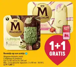 Delhaize Roomijs op een stokje aanbieding