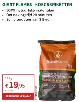 Horta Giant flames Kokosbriketten aanbieding