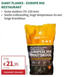 Horta Giant flames Europe Mix Restaurant aanbieding