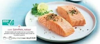 Zalmfilets natuur