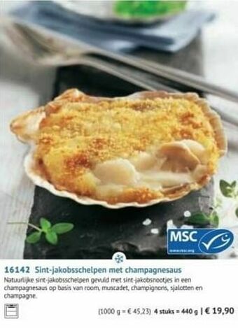 Sint-jakobsschelpen met champagnesaus