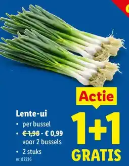 Lidl Lente Ui aanbieding