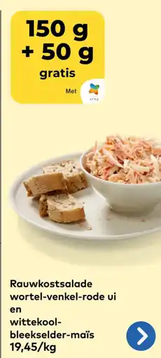 Bio Planet Rauwkostsalade wortel-venkel-rode ui en wittekool- bleekselder-maïs aanbieding
