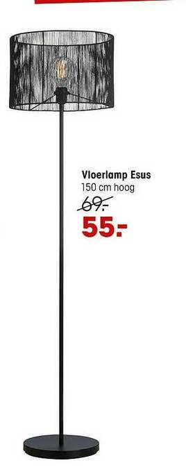 Kwantum Vloerlamp Esus aanbieding