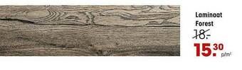 Kwantum Laminaat Forest aanbieding