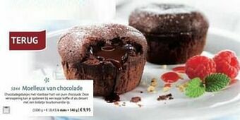 Moelleux van chocolade