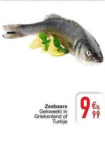 Cora Zeebaars aanbieding
