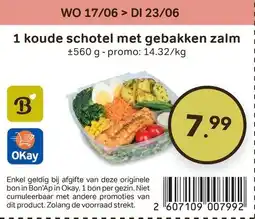 Bon Ap 1 koude schotel met gebakken zalm aanbieding