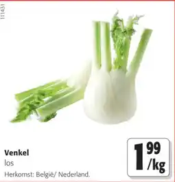 Colruyt Venkel aanbieding