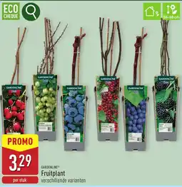 ALDI Gardenline Fruitplant aanbieding
