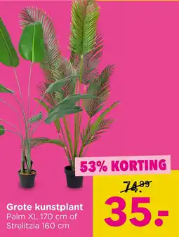 Xenos Grote kunstplant aanbieding