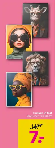Xenos Canvas in lijst aanbieding