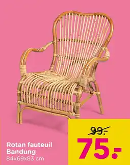 Xenos Rotan fauteuil Bandung aanbieding