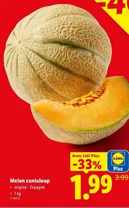 Lidl Melon cantaloup aanbieding