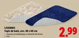 Lidl Livarno Tapis de Bain aanbieding